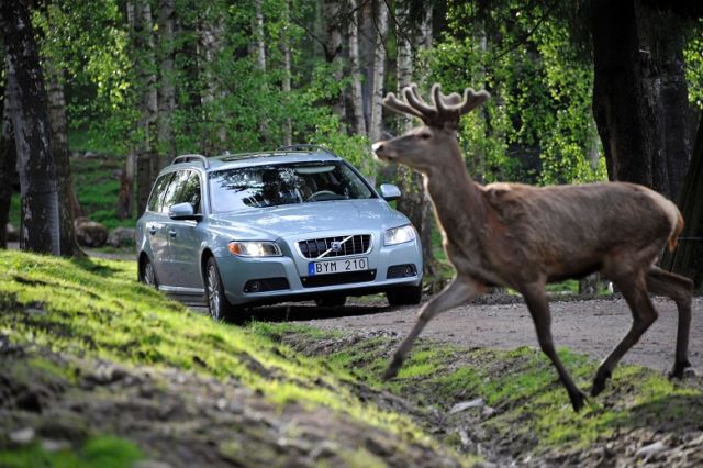 Nowy system bezpieczeństwa Volvo, fot. Volvo