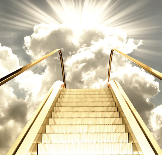 Sztuka przegrywania. /Fot. Fotolia